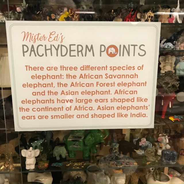 8EAD91CC-1972-43A8-8A25-900C22912A68